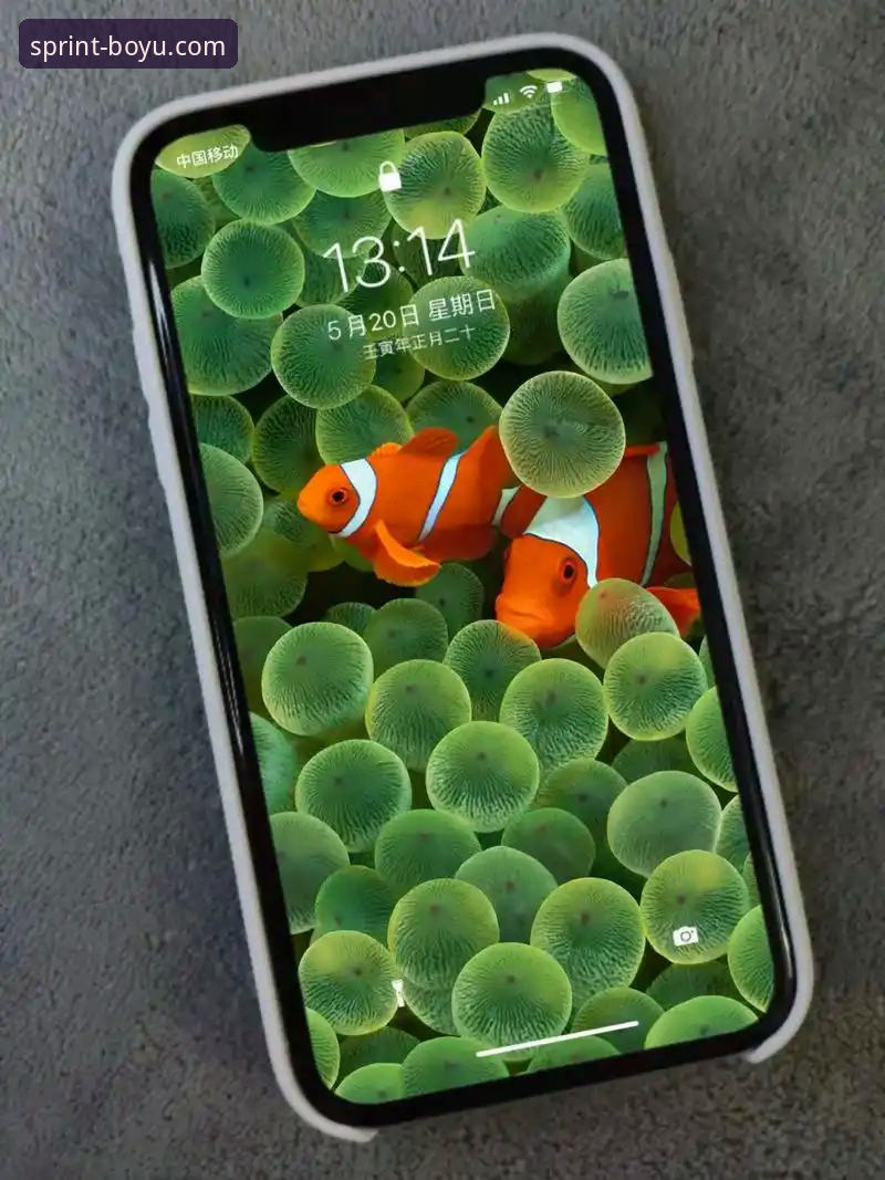 博鱼体育高清直播iOS版 博鱼体育高清直播iOS版实用技巧:从安装到观赛的完整指南